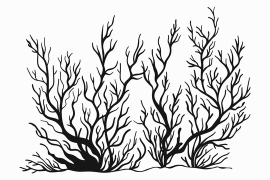 recommend clip art: Coral reef black silhouettes isolated on white background. Ocean seaweed, sea underwater and marine water design element