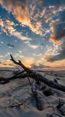 Vibrant Sky Over Driftwood on Sand Dunes