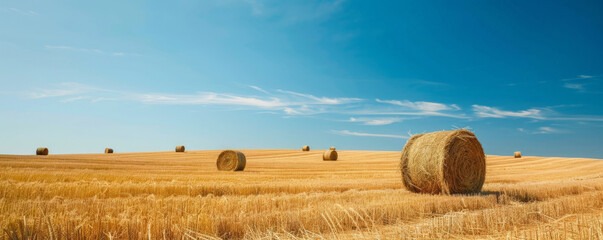A vast golden field dotted with round haystacks under a clear blue sky, capturing the essence of rural life and harvest time.