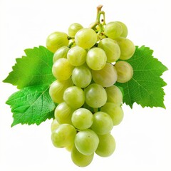 Obraz premium Green grape with leaves isolated on white. With clipping path. Full depth of field.