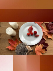 Autumn nature beauty home design background web template design banner interior card 