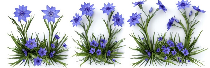 3D rendering of roses and grass on a transparent background