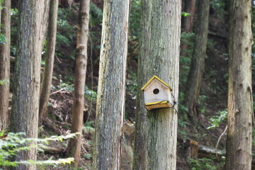 森の中の小鳥の家
