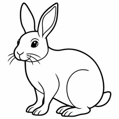 rabbit  Vector