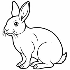 rabbit  Vector