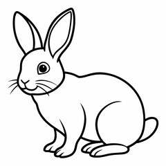 rabbit  Vector