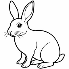 rabbit  Vector