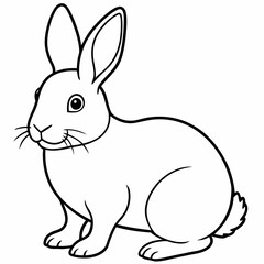 rabbit  Vector