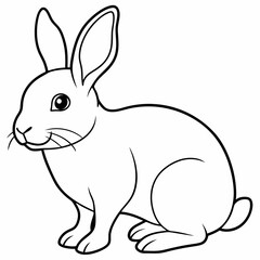 rabbit  Vector