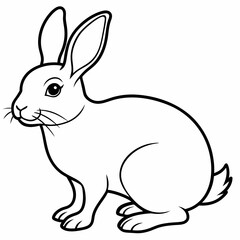 rabbit  Vector