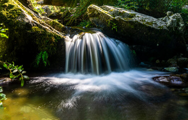 waterfall in the forest