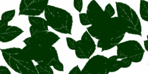 Palm leaves shadow. Mockup with palm leaves shadow on the white background.  The effect of overlaying shadows. Natural light layout.