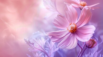 Flower on a pinkish purple backdrop