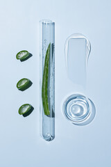 A petri dish on a blue background with samples of a skin care product. Aloe vera leaf. Natural skin care cosmetics. Gel smear