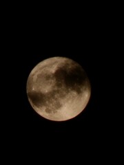 the moon in the night sky