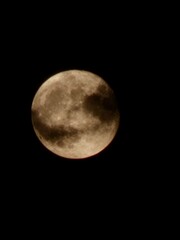 the moon in the night sky