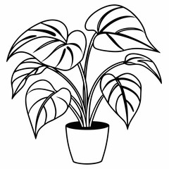 Line art of Philodendron 