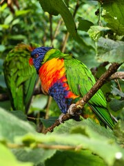 Vogelpark Marlow