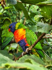 Vogelpark Marlow