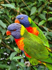 Vogelpark Marlow