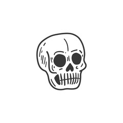 Hand drawn illustration of a human skull