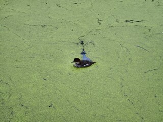 Vogelpark Marlow
