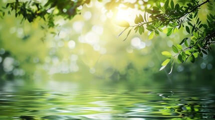 Tranquil scene with green leaves reflecting on still water.
