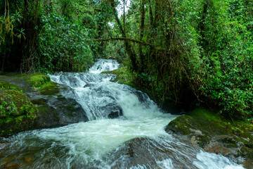 Quebrada Encarnación : beautiful river in the Andes Mountains of Jardin, Jardín, Antioquia, Colombia, near the cave of splendor or cueva del esplendor. Primary forest. Lush green tropical vegetation.