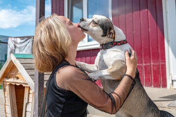 Dog at the shelter. Animal shelter volunteer takes care of dogs.