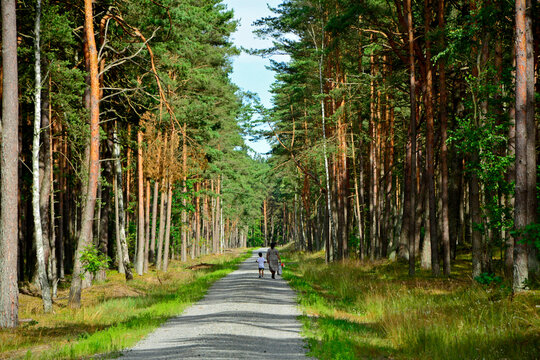 babcia z wnuczkiem na leśnej drodze, spacer po lesie, babcia i wnuczek idący leśną drogą, grandmother with grandson on a forest road, walk in the forest, 
