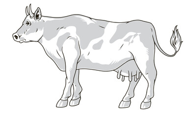 Rural cow detailed sticker monochrome