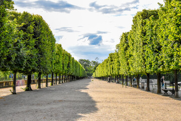  France. Paris. Louvre. Tuileries Garden. Rest, relaxation