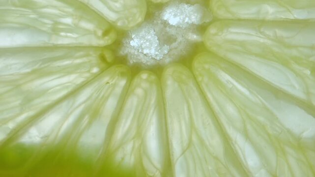 Macro shot of fresh juicy green lime slices moving against skylight, showing flesh and seeds with watery structure texture of citrus fruit visible under light.