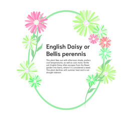 green daisy floral frame isolated on white background