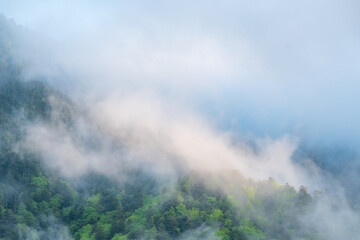 山の風景