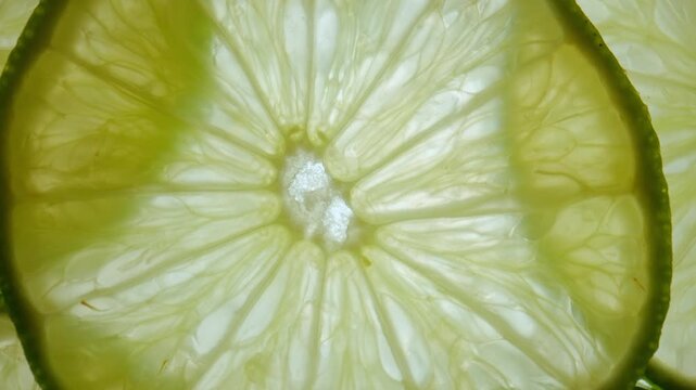 Macro shot of fresh juicy green lime slices moving against skylight, showing flesh and seeds with watery structure texture of citrus fruit visible under light.