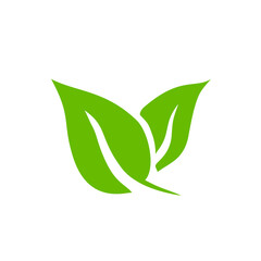 Green leaf icons. Leaves icon. Leaves of trees and plants. Vector illustration.