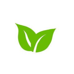 Green leaf icons. Leaves icon. Leaves of trees and plants. Vector illustration.