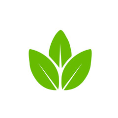 Green leaf icons. Leaves icon. Leaves of trees and plants. Vector illustration.