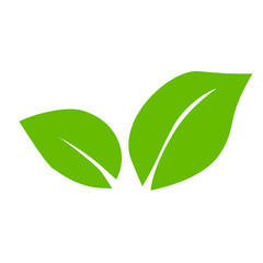 Green leaf icons. Leaves icon. Leaves of trees and plants. Vector illustration.