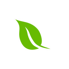 Green leaf icons. Leaves icon. Leaves of trees and plants. Vector illustration.