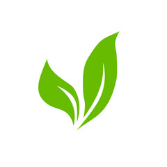 Green leaf icons. Leaves icon. Leaves of trees and plants. Vector illustration.