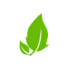 Green leaf icons. Leaves icon. Leaves of trees and plants. Vector illustration.