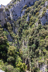 Impressive view of the Galamus gorges in France.