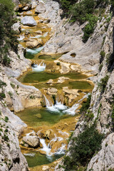 Torrent at the bottom of the Galamus gorges in France.