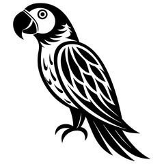 parrot vector