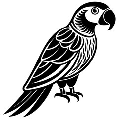 Obraz premium parrot vector