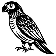 parrot vector