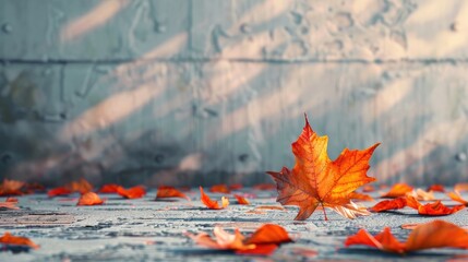Maple leaf on ground floor symbolizes autumn and botany concept