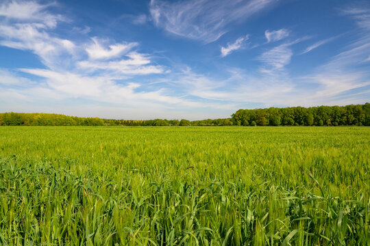 Paysage normand avec ciel et champ au grand angle